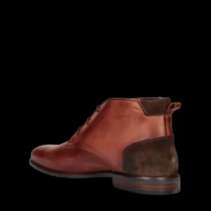 Veterschoenen^Berkelmans Alastaro 2320068 Cognac calf (02)