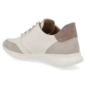 Sneakers^Hartjes 162.1144 beige-beige