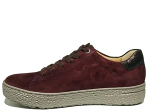 Sneakers^Hartjes 162.1401 aubergine-aubergine