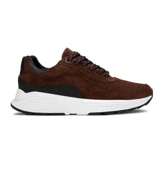 Sneakers^Xsensible 33200 Golden Gate 4.301 Brown