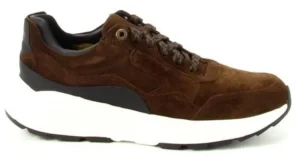 Sneakers^Xsensible 33200 Golden Gate 4.301 Brown