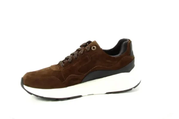 Sneakers^Xsensible 33200 Golden Gate 4.301 Brown