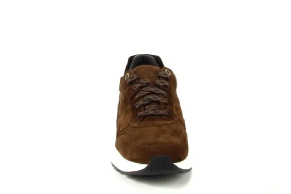 Sneakers^Xsensible 33200 Golden Gate 4.301 Brown