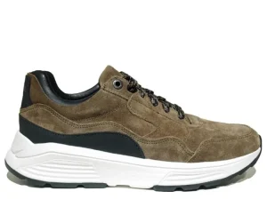 Sneakers^Xsensible 33200.4 wijdte H 501-H Taupe