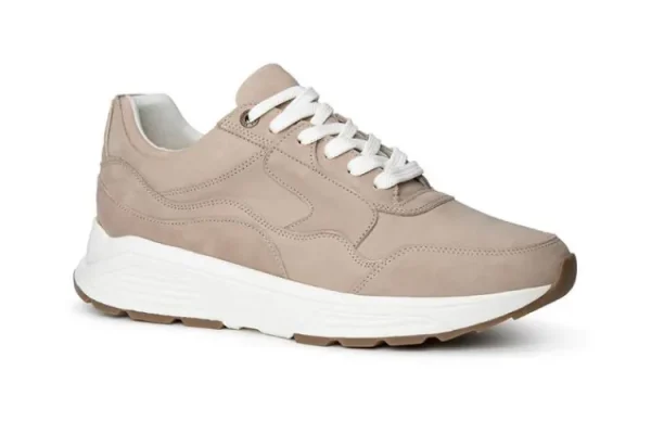 Sneakers^Xsensible 33200.4 wijdte H Golden Gate Men H Taupe